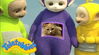 Teletubbies | Cat's Night Out | Official Classic Full Episode