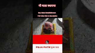 गौ माता की पूजा कैसे करें गाय माता पूजा विधि / Kamdhenu Puja Cow Puja Vidhi / वसुबारस पूजा Vasubaras