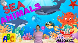 Sea Animals With Miss Katie | Toddler Learning + Kids Songs & Ocean ABC Phonics Song