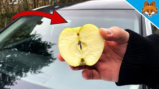 Rub your Car Windshield with an APPLE and WATCH WHAT HAPPENS  💥 (Amazing) 🤯