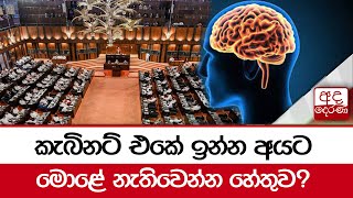 කැබිනට් එකේ ඉන්න අයට මොළේ නැතිවෙන්න හේතුව?  - ජනක රත්නායක