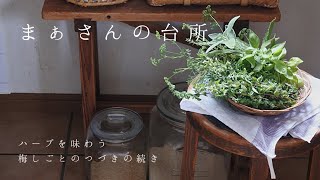 【暮らしのvlog】厳しい暑さに爽やかなハーブを取り入れる　ハーブを味わう/梅しごとのつづきの続き　まぁさんの台所　8月