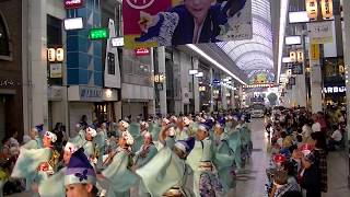 俄嘉屋（にわかや）～2017高知よさこい祭り本祭(帯屋筋)