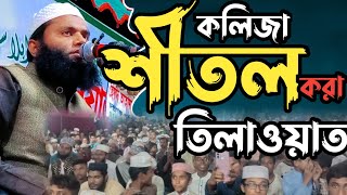 কুরআন তিলাওয়াত । মধুর কুরআন তিলাওয়াত । যে তিলাওয়াত শুনে সকলেই  আল্লাহুআকবার বলে উঠলো,Quran Tilawat