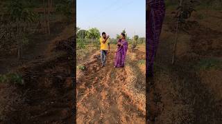 మా ఇద్దరి కల ఎకరం భూమి 300 రకాల పండ్ల మొక్కలు |organic farm with 300 types fruits plants