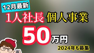 新公表12 月19日・IT導入補助金2024も募集継続・後期事務局TOPPAN株式会社個人情報等が流出・50万円350万円450万円一人社長・個人事業主も【中小企業診断士 マキノヤ先生】1646回