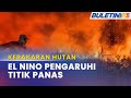 KEBAKARAN HUTAN INDONESIA | Fenomena El Nino Dikhuatiri Sumbang Peningkatan Titik Panas