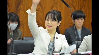 2020年3月18日　委嘱審査　参議院内閣委員会　高木かおり