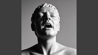 As Silence Screamed