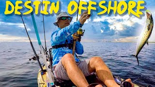 Destin Offshore Kayak Fishing - Cobia, Mackerel, and Bait Everywhere!