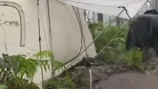 暴雨夜独自在原始森林里露营。雨中露营 沉浸式露营 雨天露营 野营