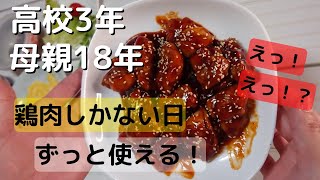 【リアル】毎日早起きな母の1日の弁当作り【料理/家事/主婦/芸能人】