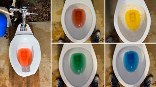 2009 ADA Zurn EcoVantage Toilet Dye Tests!