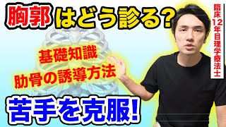 【苦手な方必見！】胸郭の基本知識を教えます！今日から胸郭マスター！