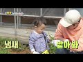 윤상현네 오스카가 따낸 미나리 나온이의 生 미나리 먹방 슈퍼맨이 돌아왔다 the return of superman kbs 210425 방송