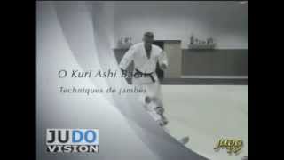 JUDO TECHNIQUES: Frederic Demontfaucon - O Kuri Ashi Barai