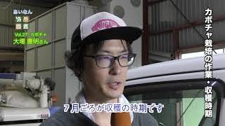 あいなん逸品図鑑2020年8月号①かぼちゃ（2分50秒）