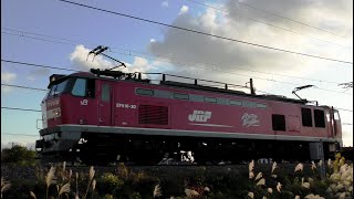 ﾚｯﾄﾞｻﾝﾀﾞｰEF510-20牽引高速貨物3097ﾚ岡山→吹田→新潟【4K】