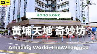 黃埔天地 奇妙坊 4K | Amazing World, The Whampoa | DJI Pocket 2 | 2024.10.17