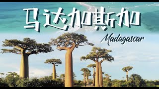 马达加斯加：最奇妙的岛屿，环球旅行最爱的非洲国度｜How to travel in Madagascar