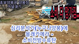 양봉창업TV 심리분석가 (누구나양봉TV) 몰래카메라 -전방소비수류탄 춘천, 화천 모두 풍밀하고 대박나세요 beekeeper  养蜂(feat. 누구나양봉)