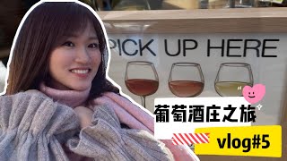 Vlog#5 东京OL远离城市，探访日本最古葡萄酒庄！100日元可以喝到什么酒？