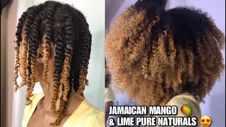 Jamaican Mango \u0026 Lime Pure Naturals Review