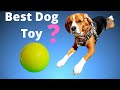 Cheerble Wicked Ball Automatic Pet Toy | Smart Interactive Pet Toy Ball - Watch Before You Buy