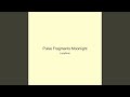Pulse Fragments Moonlight