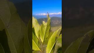 Mountains Vibe ⛰️🏔️|| connect & Create || Bairiya - Atif Aslam