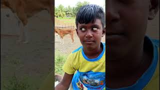 வெறும் நாலு பொருட்களை வைத்து 😳🤯 simple jelly making 💥 #viral #trending #shorts