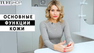 Основные функции кожи