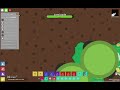 florr.io - tanking Ultra Centipede