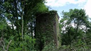 Wynnstay Colliery Ruabon - The Walker Fan House