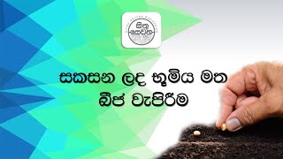 | 2020.12 .13 | සකසන ලද භූමිය මත බීජ වැපිරීම | Sowing of seeds on prepared land |