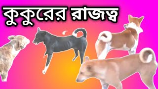 kingdom  of dogs  কুকুরের রাজত্ব