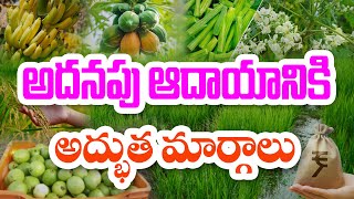 అంతర పంటలతో వ్యవసాయం | Dr. Ramachandram