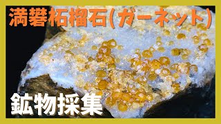 【鉱物採集】廃鉱山で満礬柘榴石(ガーネット)を探す！