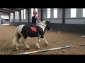 niamh smyth and mr murphy dressage ireland introductory test a 2017