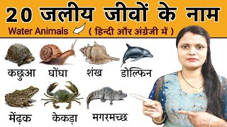 20 Water Animals Name in Hindi and English | पानी में रहने वाले जीवों के नाम | Water Animals