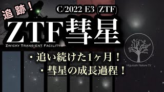 ZTF彗星（C/2022 E3）１ヶ月の追跡記録！彗星の成長過程を収録！グリーン色に輝く彗星は綺麗です！