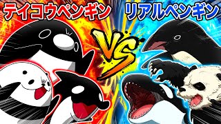 【ペンギンvsペンギン】本物はどっち...!?【アニメ】