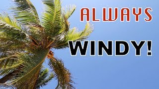 Why is it Windy at the Beach?