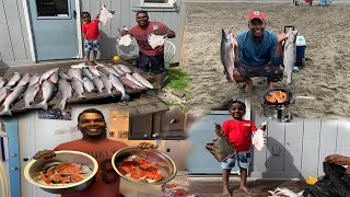 Alaska king salmon fish / வலையில் சிக்கிய அலாஸ்கா பெரிய மீன்கள்