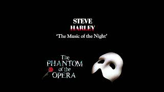 Steve Harley - The Music of the Night (1986 unreleased recording)