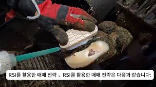 RSI 활용법: 주식 시장에서 매수/매도 타이밍 잡는 방법