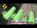 dry pet dog chewing dog treats making machine production line