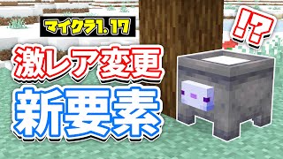 【マイクラ1.17】粉雪が倍速で溜まる⁉＆青いウーパール―パーがさらに希少に【マインクラフト】1.17.1(洞窟と崖アップデート)