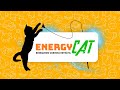 Energy Cat - Brinquedo Varinha Retrátil Gato é Vida ®