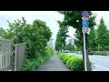 walk from harajuku station to shibuya｜zhiyun crane m2　原宿駅から渋谷駅ハチ公口まで歩った